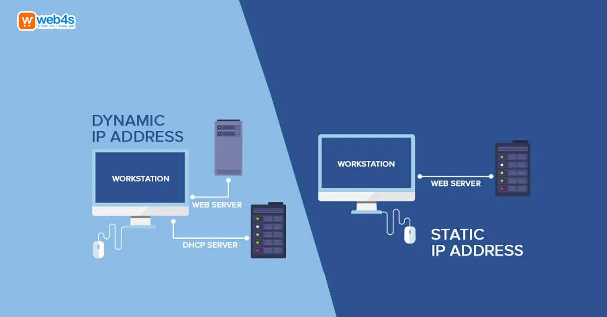 6 cách check IP website nhanh chóng chỉ với vài bước