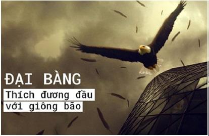 Những bài học kinh doanh từ chim đại bàng