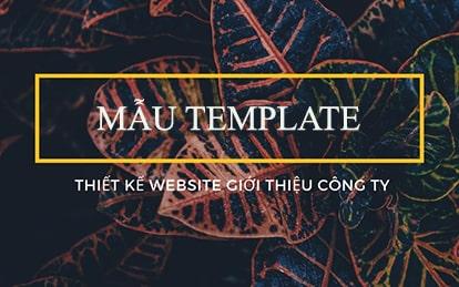 Hướng dẫn chọn mẫu web giới thiệu công ty chuyên nghiệp