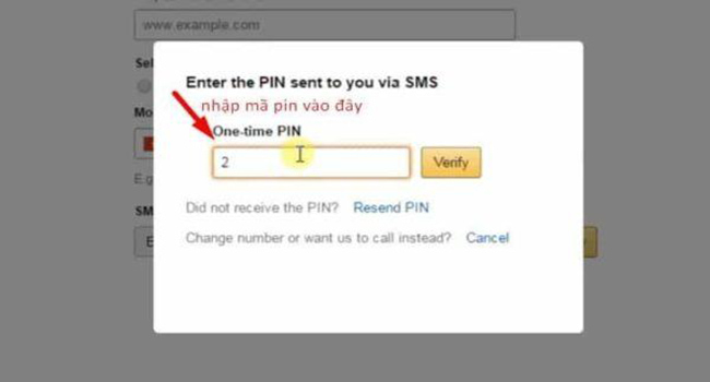 Nhập mã pin