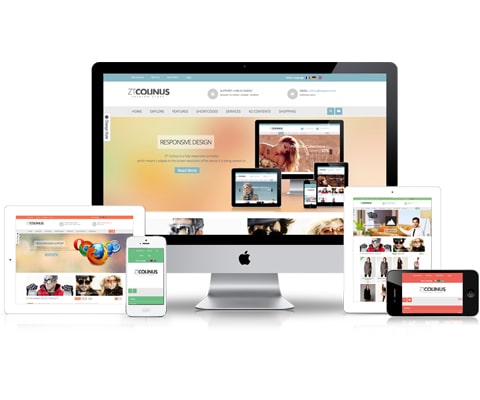 Thiết kế web giới thiệu doanh nghiệp Hà Nội