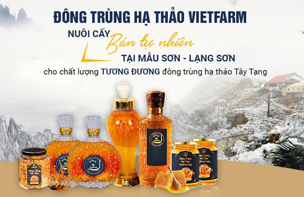 thiết kế website đông trùng hạ thảo được coi là kênh giới thiệu sản phẩm 