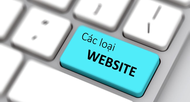 Các loại webiste