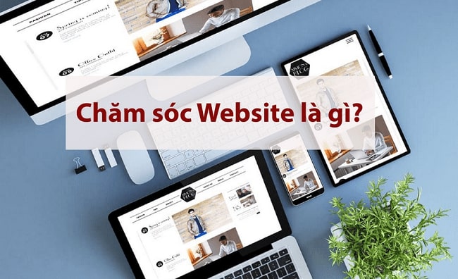 Chăm sóc website là gì?