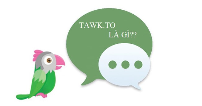 Tawk to là gì?