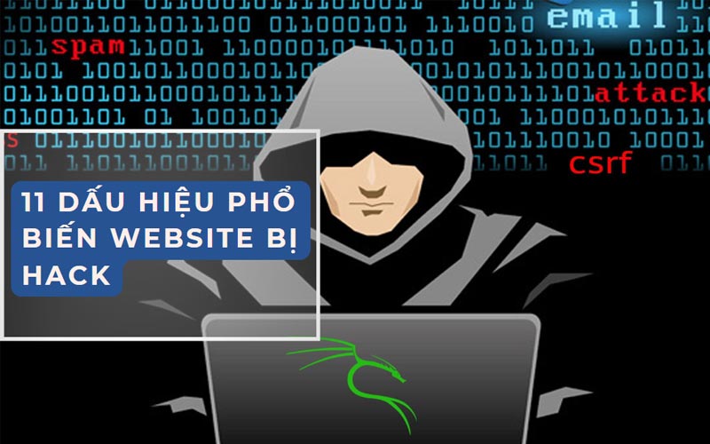 Xóa mã độc và phục hồi website